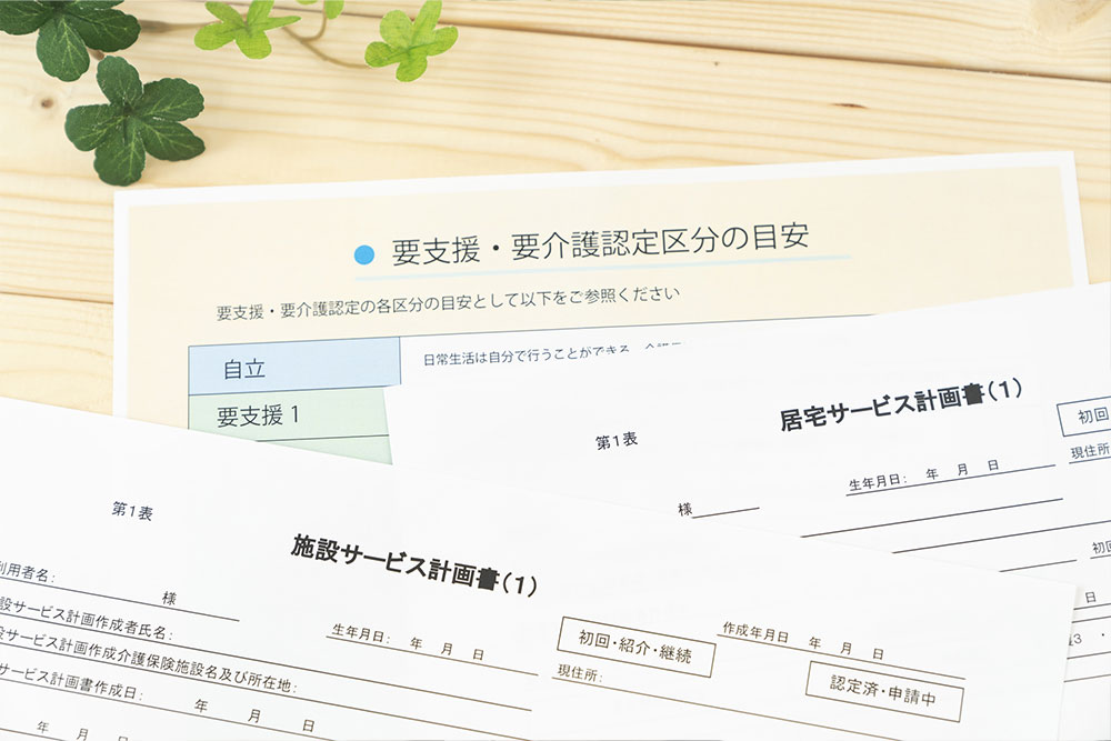 ケアプラン作成、介護保険の申請代行や認定調査